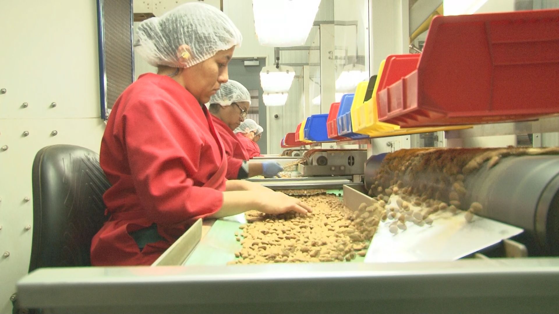 Almond growers escape mother nature's scares as harvest ends on